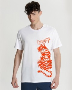 Бюстгальтеры фото превью для покупки