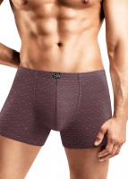 CLEVER MSH452131 Трусы муж.Рыцарь