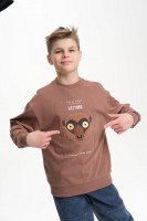 PELICAN Толстовка для мальчиков BFN3370