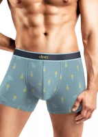 CLEVER MSH552923 Вкус лета Трусы муж.