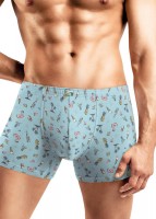 CLEVER MSH552931 Вкус лета Трусы муж.
