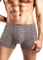 CLEVER MSH560521 Сувенир Трусы муж.