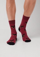 CLEVER Носки муж.К6600 сувенир хл+эл